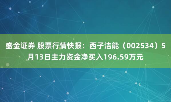 盛金证券 股票行情快报：西子洁能（002534）5月13日主力资金净买入196.59万元