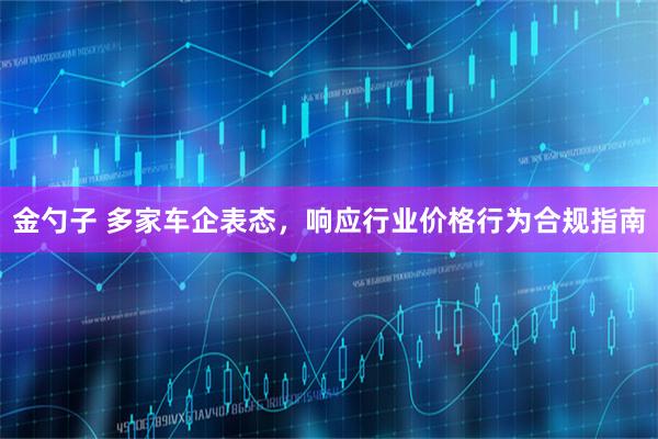 金勺子 多家车企表态,响应行业价格行为合规指南