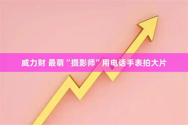 威力财 最萌“摄影师”用电话手表拍大片