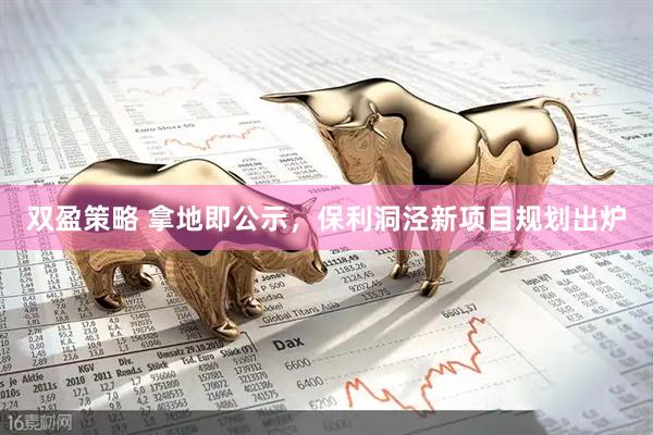 双盈策略 拿地即公示，保利洞泾新项目规划出炉